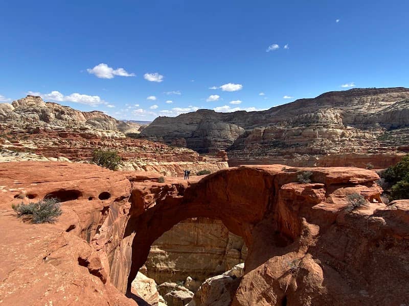 Cassidy Arch - Image 1