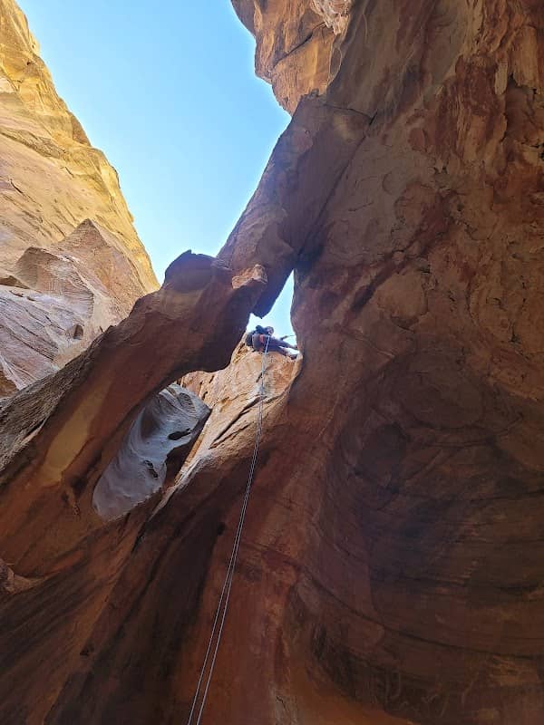 Cassidy Arch - Image 2