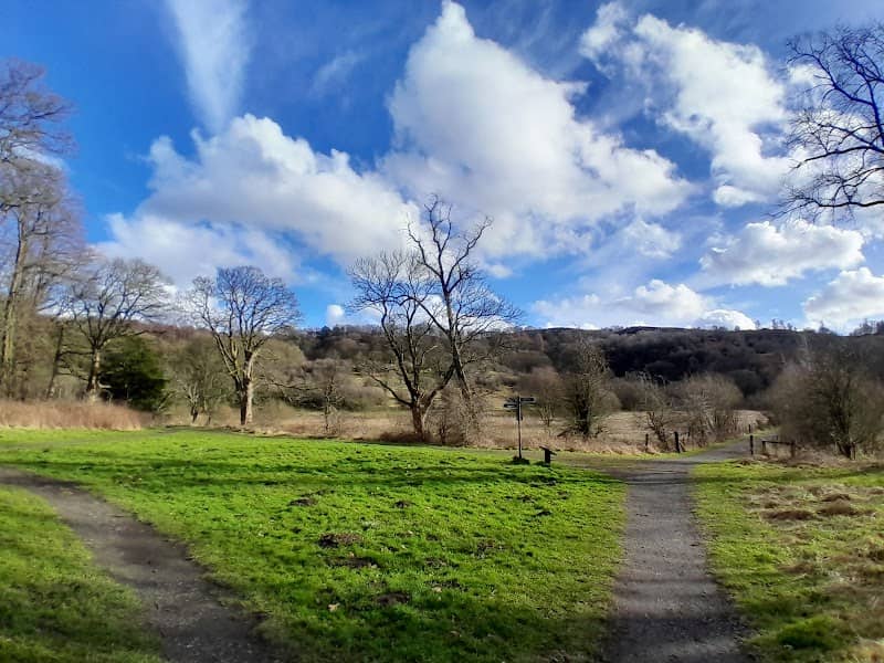 Langhill Wood - Image 1