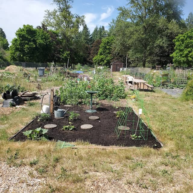 Willamette Park Community Garden - Image 1