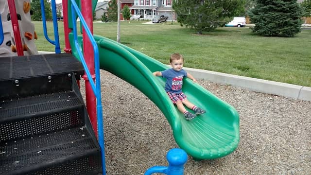 Fire Fly Park - Image 2