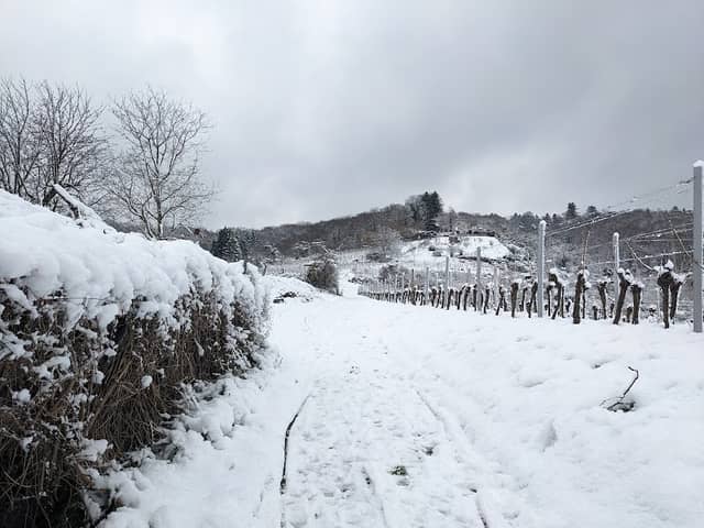 Altdeutsche Wetterstation - Image 1