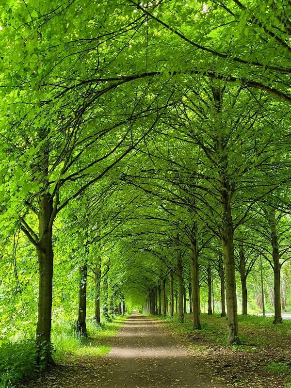 Westpark Braunschweig - Image 2