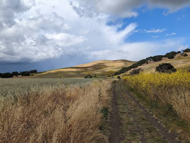 Newell Open Space - Image 2