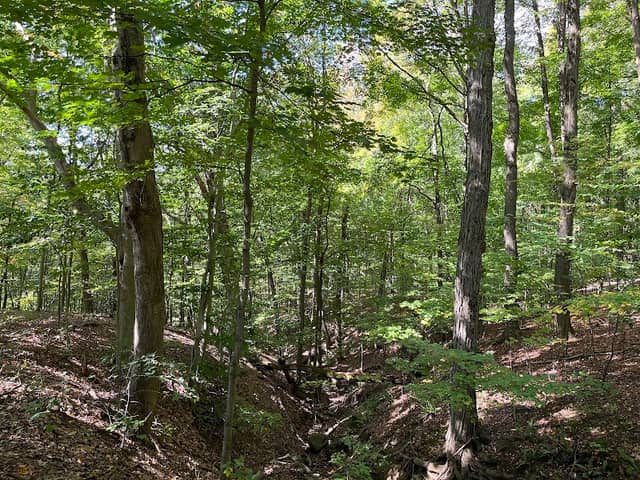 Rocky Run Ravine - Image 1