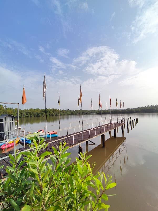Backwater Tourism - Image 1
