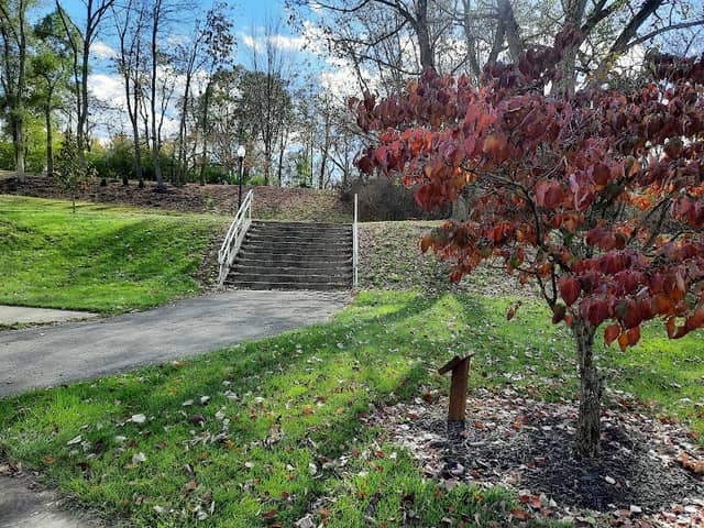 French Park - Image 1