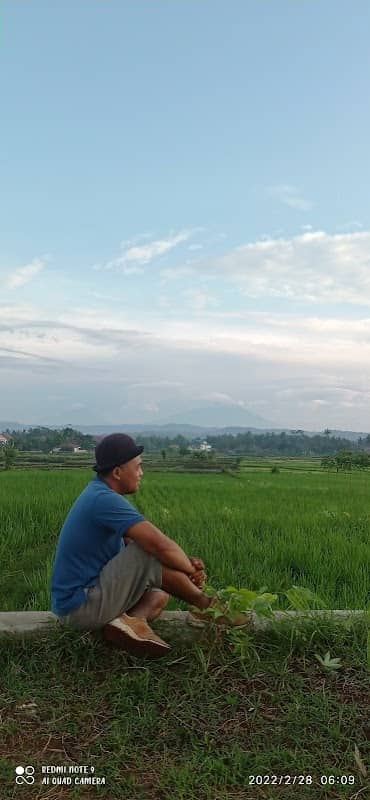 Dolan kalikepuh - Image 1