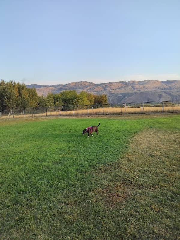 Aviation Way Dog Park - Image 2