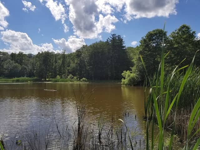 Mill Stream Run Reservation - Image 3