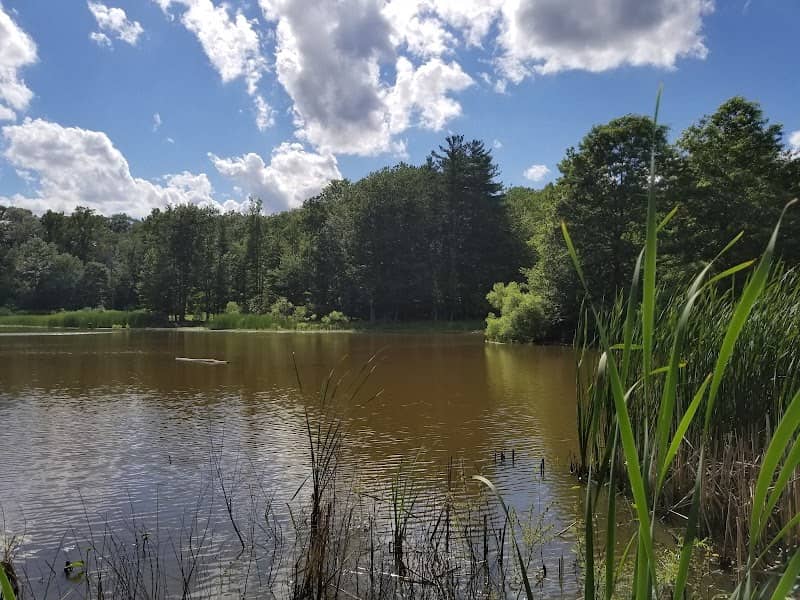 Mill Stream Run Reservation - Image 2