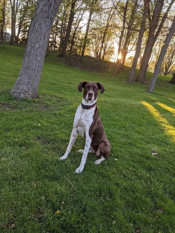 Watson Park - Image 1