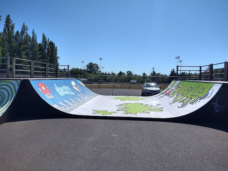 Napavine Community Park - Image 1