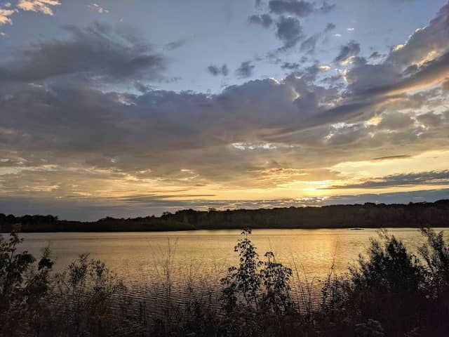 Bicentennial Nature Area - Image 2