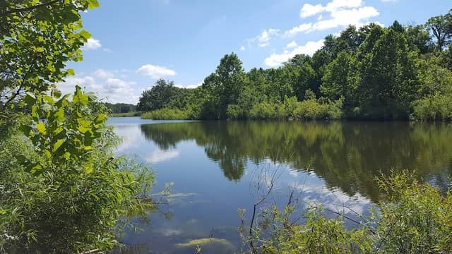 Bicentennial Nature Area - Image 1