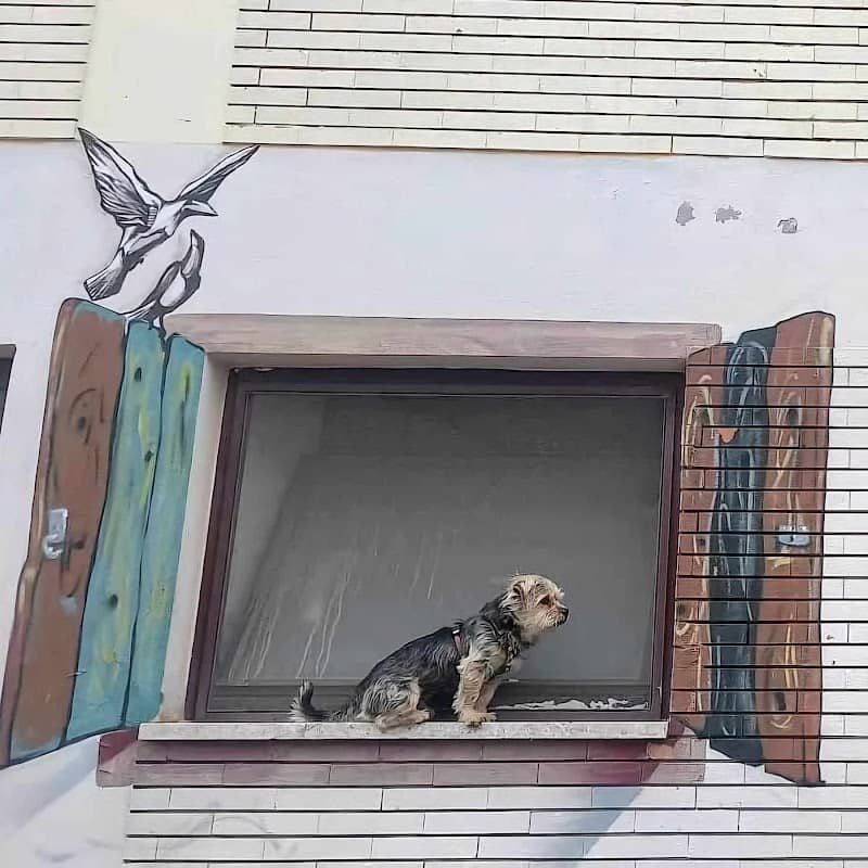 Murale "Il nonnino di Mosciano" - Image 1