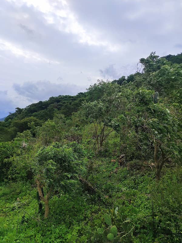 Heavy wind area - Image 1
