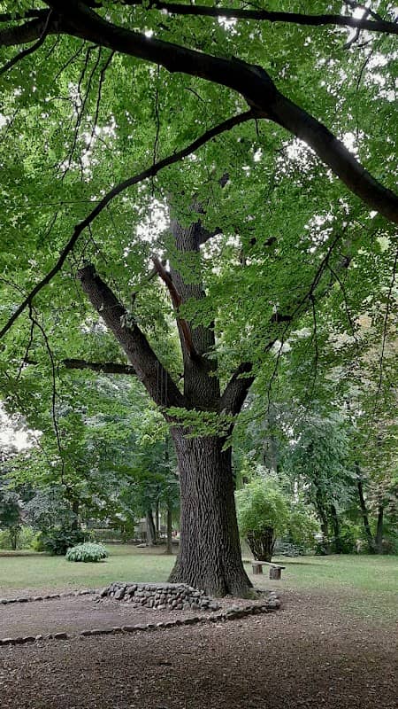Park - Image 2