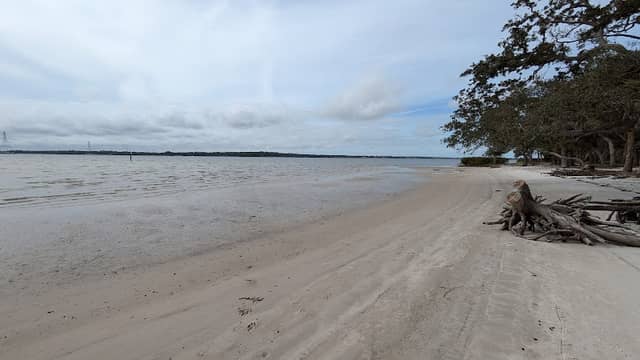 Mobbly Bayou Beach Park - Image 2
