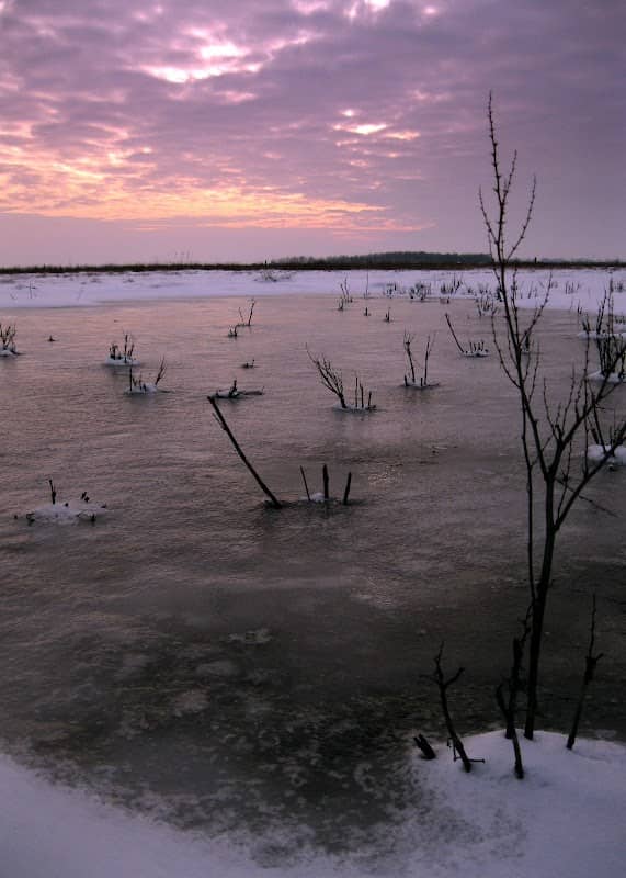 Alkborough Flats - Image 3