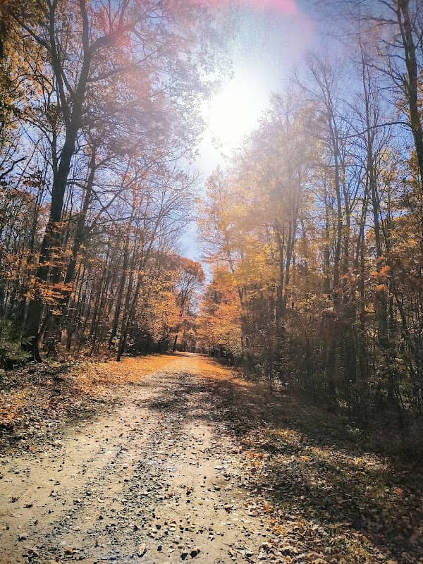 Woodboro Lakes Wildlife Area - Image 1