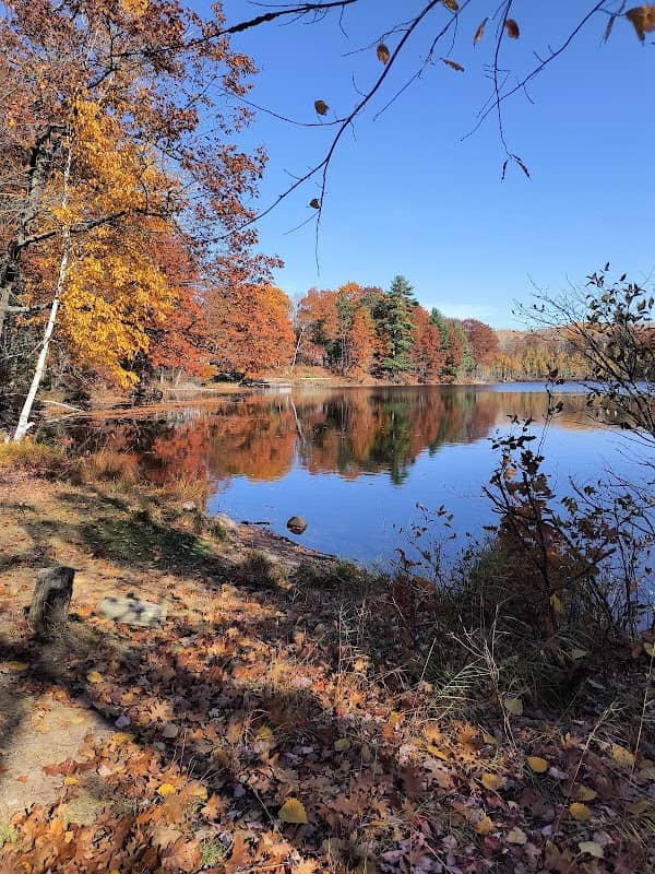 Woodboro Lakes Wildlife Area - Image 2
