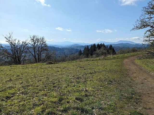 Chip Ross Park - Image 1