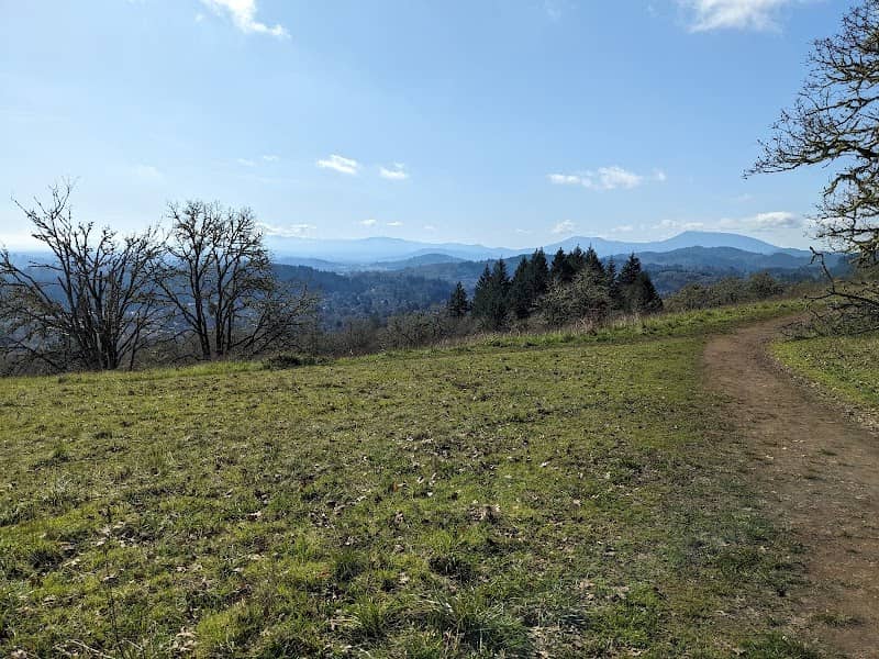 Chip Ross Park - Image 1