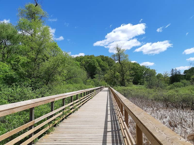 RBG Hendrie Valley Sanctuary - Image 1