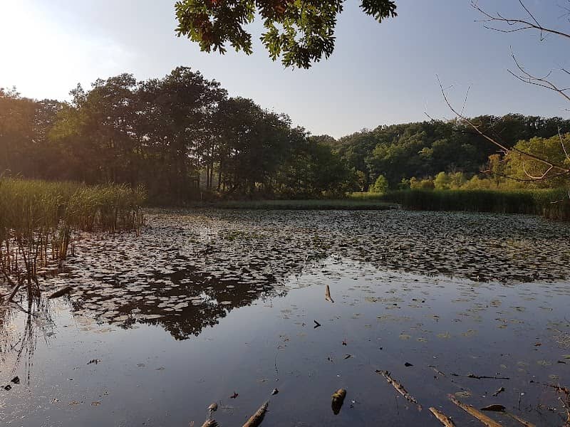 RBG Hendrie Valley Sanctuary - Image 2