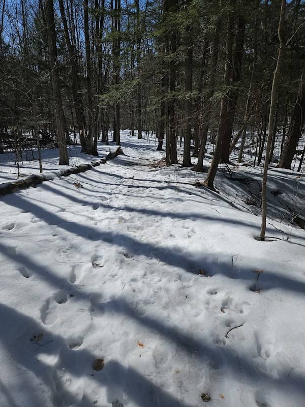 Silver Lake Woods – Parking - Image 2