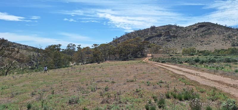 Hopkins Creek - Image 1