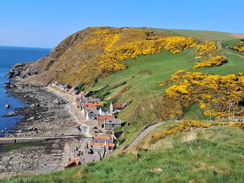 Crovie - Image 1