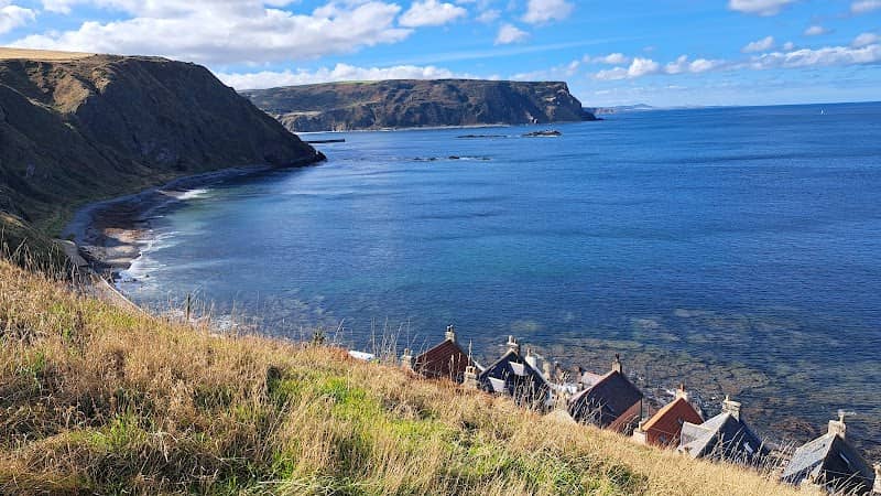 Crovie - Image 3
