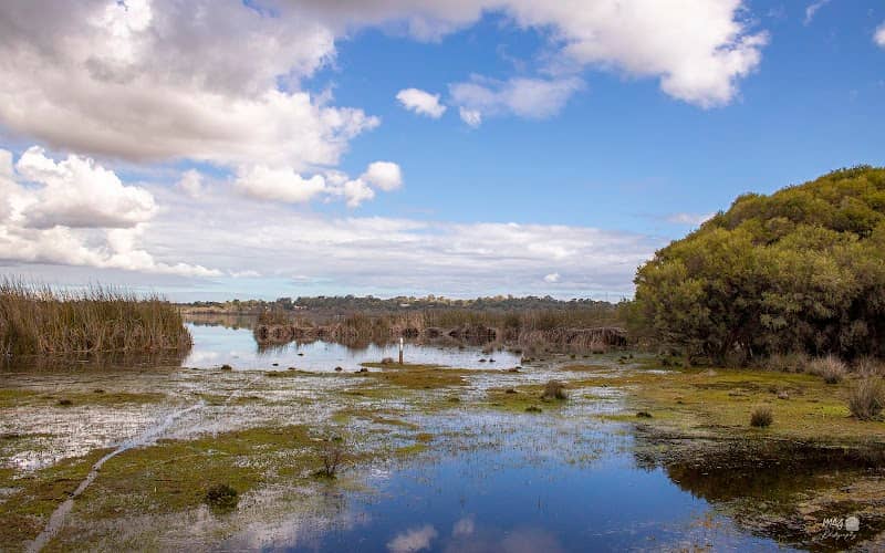 Thomsons Lake Nature Reserve - Image 1