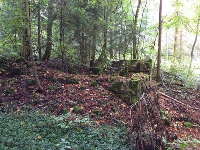 Ruinen im Wald - Image 1
