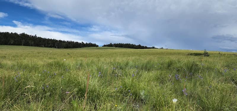 Rainbow Trailhead - Image 1