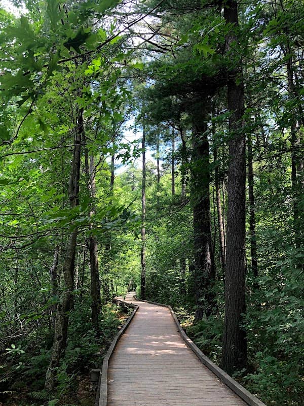Livingston Park - Image 3