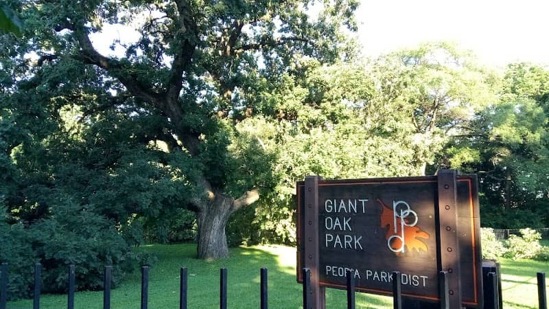 Giant Oak Park - Image 1