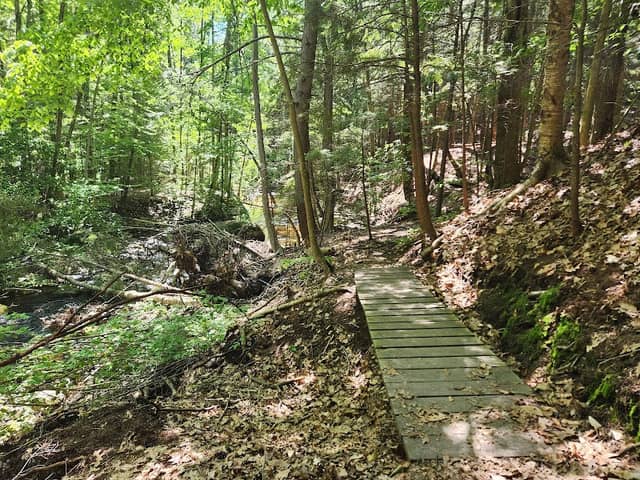 Mill Brook Preserve Trailhead - Image 1