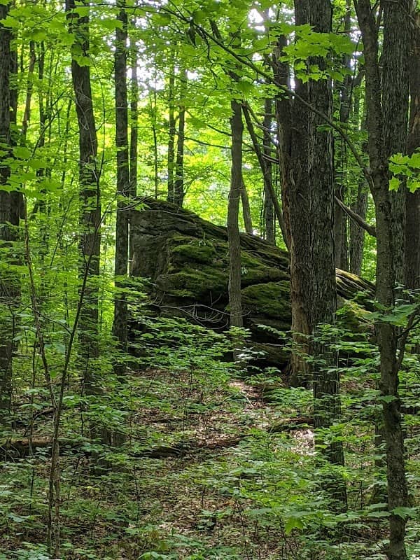 Battell Woods - Image 1
