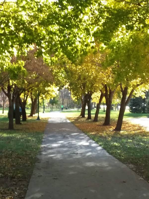 Frank Starr Park - Image 1