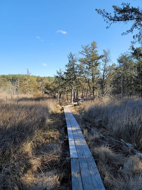 Brownsville Preserve - Image 3