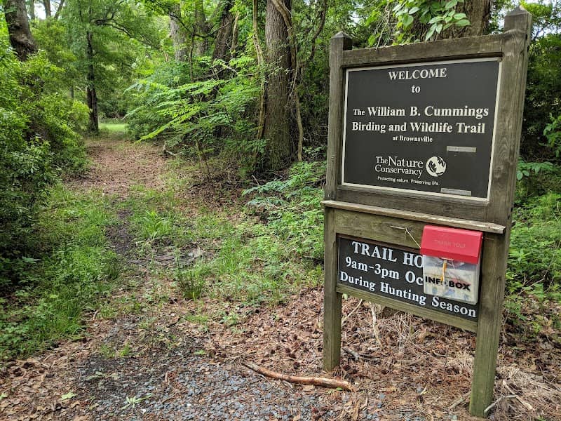 Brownsville Preserve - Image 2