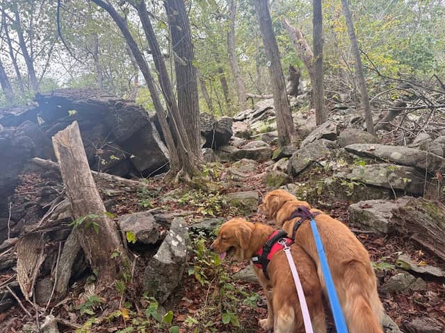 Trailhead - Image 2
