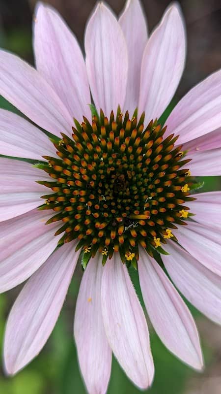 Anna-Jo Garden Club Park - Image 2