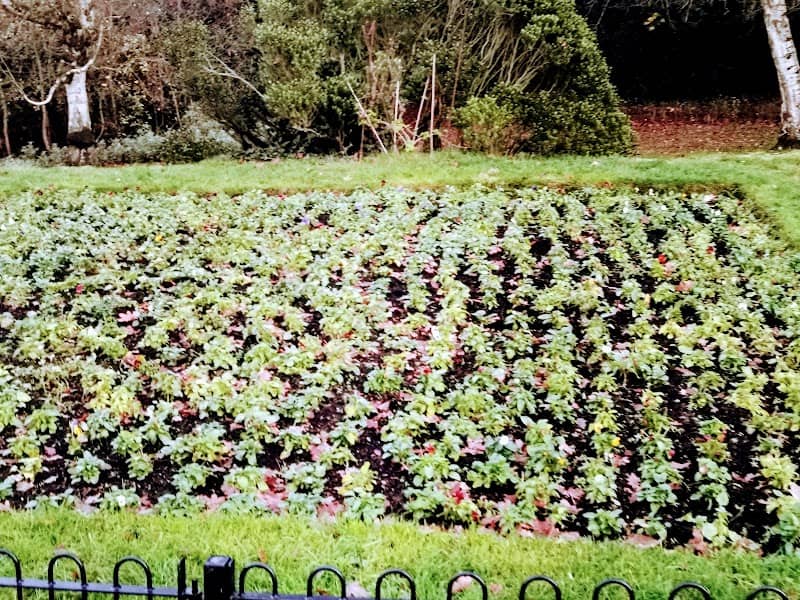 Lake Meadows Ornamental Garden - Image 2