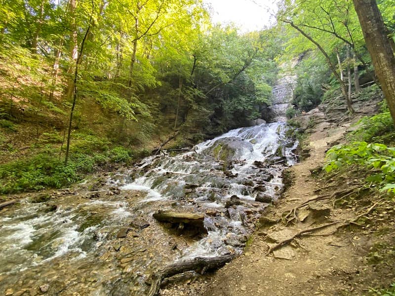 Dunning's Spring Park - Image 2