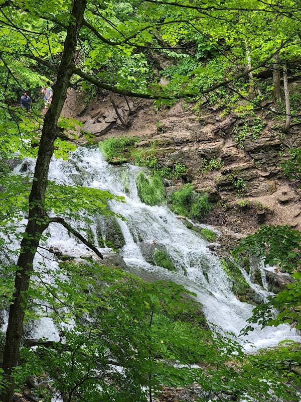 Dunning's Spring Park - Image 1
