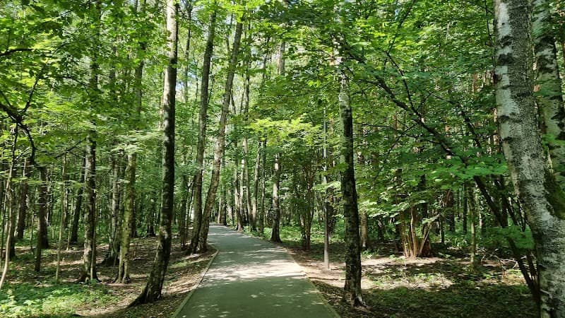 Parkovaya Zona Otdykha - Image 1